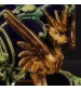 French vase in glazed and painted ceramic in Art Nouveau style